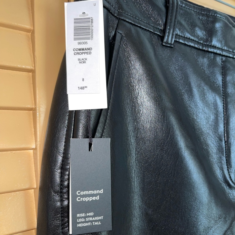 Aritzia Commander Pants